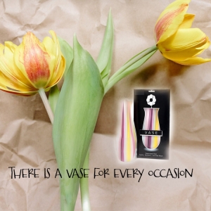 Expandable Vases